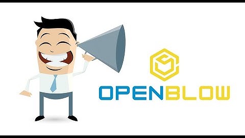 How does the whistleblower platform work?