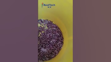Small color sorter for bean sorting-RealTech Q32