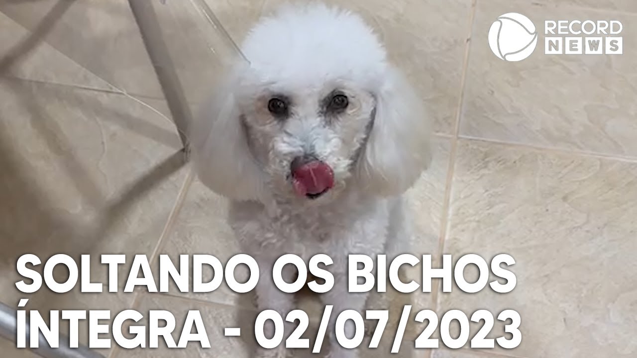 Soltando os Bichos – 02/07/2023