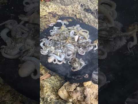 Frying A LOT Of Fresh Caught Octopus Like A Pro Crispy Tender Every Time