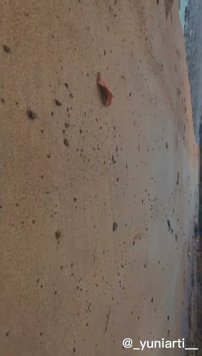 pantai berigak bangka tengah🌴💜