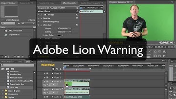 Lion OSX 10.7.2 Adobe Premiere Pro CS 5.5 Eye Dropper Bug