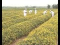 Tiểu Hổ test lon pô trên Jupiter và Sàn thương mại điện tử ...