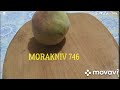 Обзор ножа от Morakniv 746