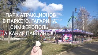 ПАРК АТРАКЦИОНОВ И ПОТРЯСАЮЩИЕ ПАВЛИНЫ! СИМФЕРОПОЛЬ. ПАРК ИМ. Ю. ГАГАРИНА.