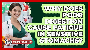 Why Does Poor Digestion Cause Fatigue In Sensitive Stomachs? - Sensitive Stomach Guide