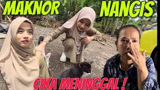 AYANG PULANG KE RUMAH MAKNOR ! NANGIS CIKA MENINGG4L❗️