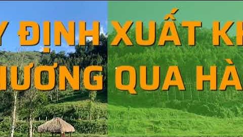 Nước uống chưng cất từ trầm hương