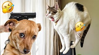 YOU LAUGH YOU LOSE😁Best Funny Animals Video 2024🤣🐶Part 22