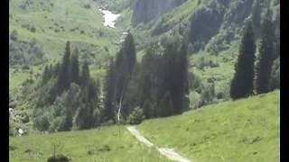 Helikopter_Cut.avi