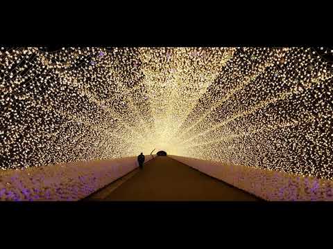 Видео: Посетите Nabana No Sato, фестиваль зимних огней Японии