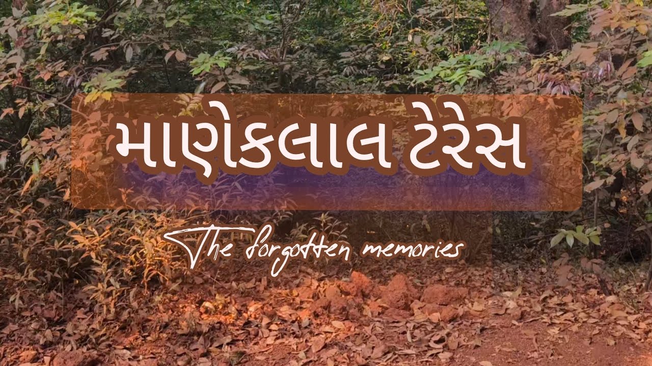 The forgotten memories 