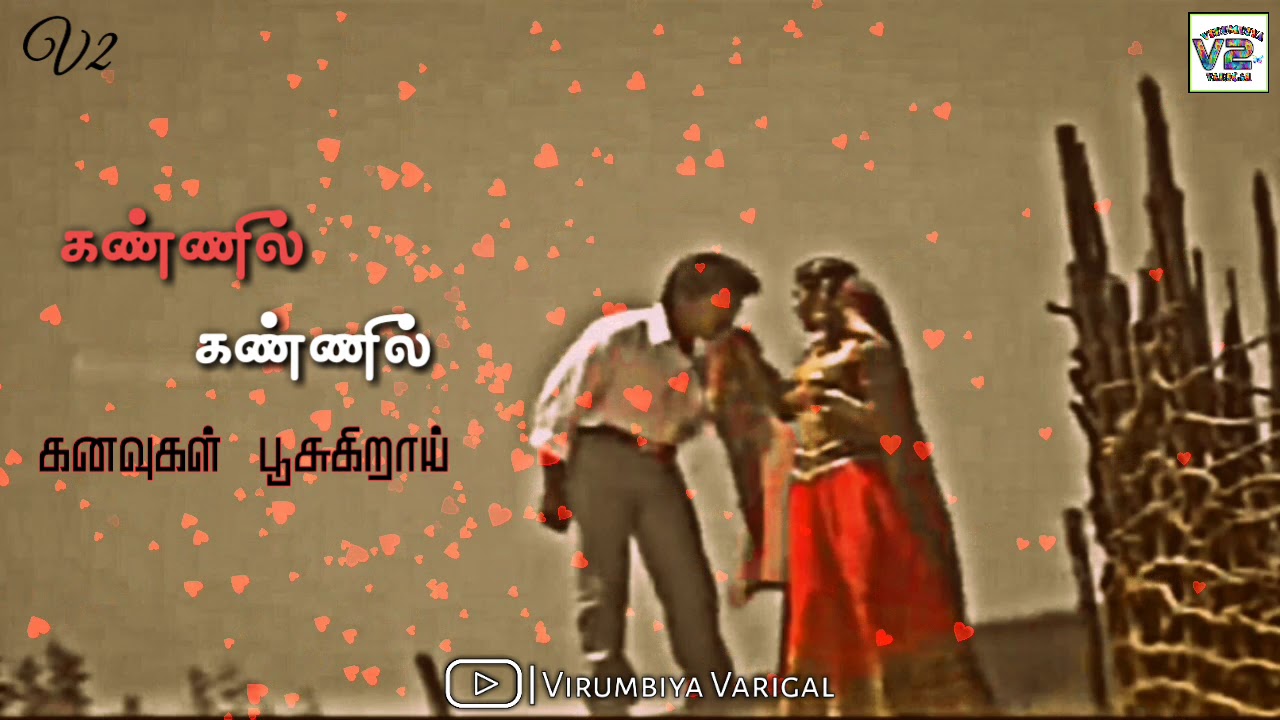 Nilave Nilave  Periyanna  Love WhatsApp Status Video  Tamil Lyrics  Virumbiya Varigal  V2