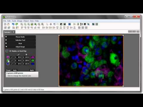 Change Channel Color - YouTube