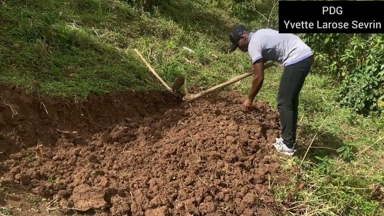 Fém agrikòl gran lakou re frape ankó kounya se tou pa depatman sid 