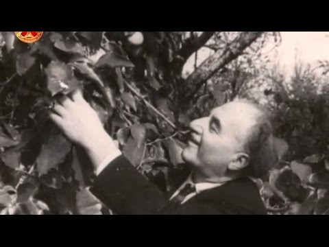 ლევან გოთუა - 110