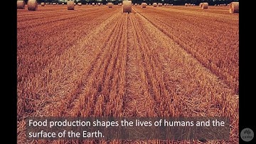 Accelerating the transformation of our food systems