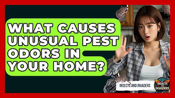 What Causes Unusual Pest Odors In Your Home? - Insects and Invaders