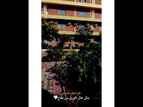 هاي النظرة اباوعللك 