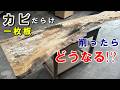カビだらけのトチ一枚板をプレーナーで削ってみた