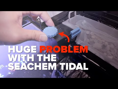 Huge Problem and Solution | Seachem Tidal Hang On Back Filters