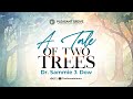 A tale of two trees  dr sammie j dow  march 24 2024