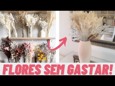 Vídeo: Identificando as folhas das plantas: informações sobre os tipos e arranjos das folhas