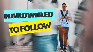 The Bandwagon Effect: Why Your Brain is Hardwired to Follow the Crowd