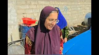 Download Lagu Power struggle: Shokoofa and Ali in abrutal confrontation MP3