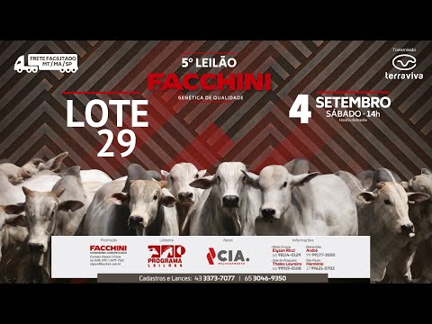 LOTE 29 - 5º LEILÃO FACCHINI 04/09/2021