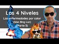 WEN BING LUN O TRATADO DE( PATOLOGIA DE CALOR) LOS 4 NIVELES ( PARTE 3/4) | Acupuntura para párvulos