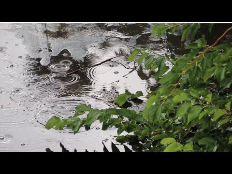 آية الكرسي بصوت الشيخ محمد اللحيدان رمضان 1439 هـ