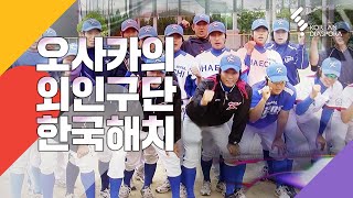 오사카 서울 연고 구단, 한국해치 (KBS 20100825 방송)