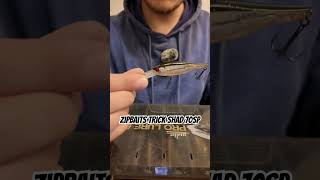 100 % Fisch mit dem Trick Shad 70SP #angeln #barsch #hecht #zander #twitchbait #zipbaits #trickshad