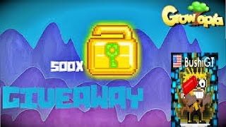 Bushigt 500 Wls Giveaway Follow The Rules