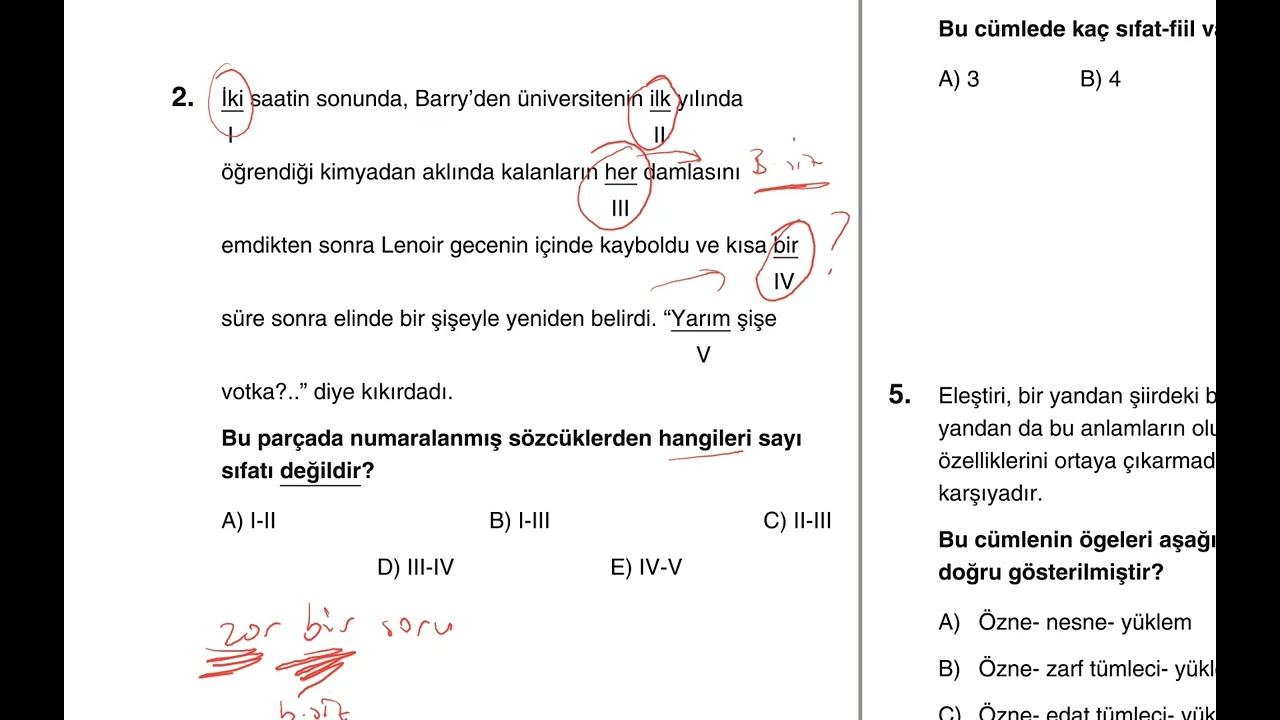 Dil Bilgisi Denemeleri, Deneme 51, Genel