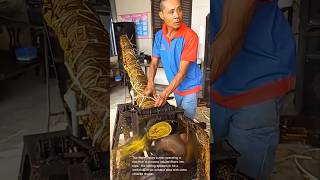 Traditional Fiber Processing Making Natural Rope