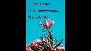 pendant l'abscission et la sénescence des nutriments