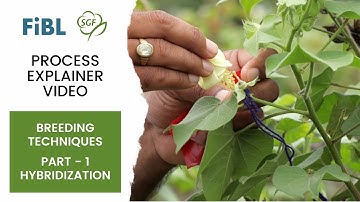 Breeding Techniques - Part 1 Hybridization (Crossing Techniques) | SGF Project