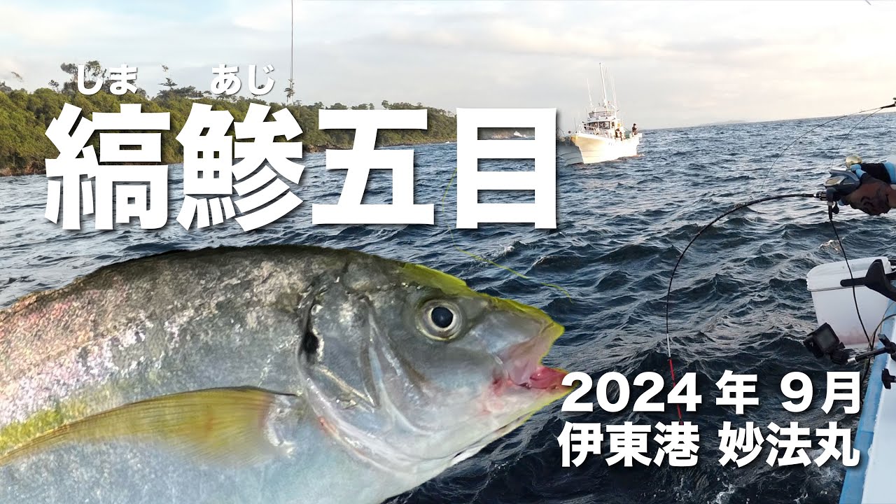 【2024年9月】シマアジ五目