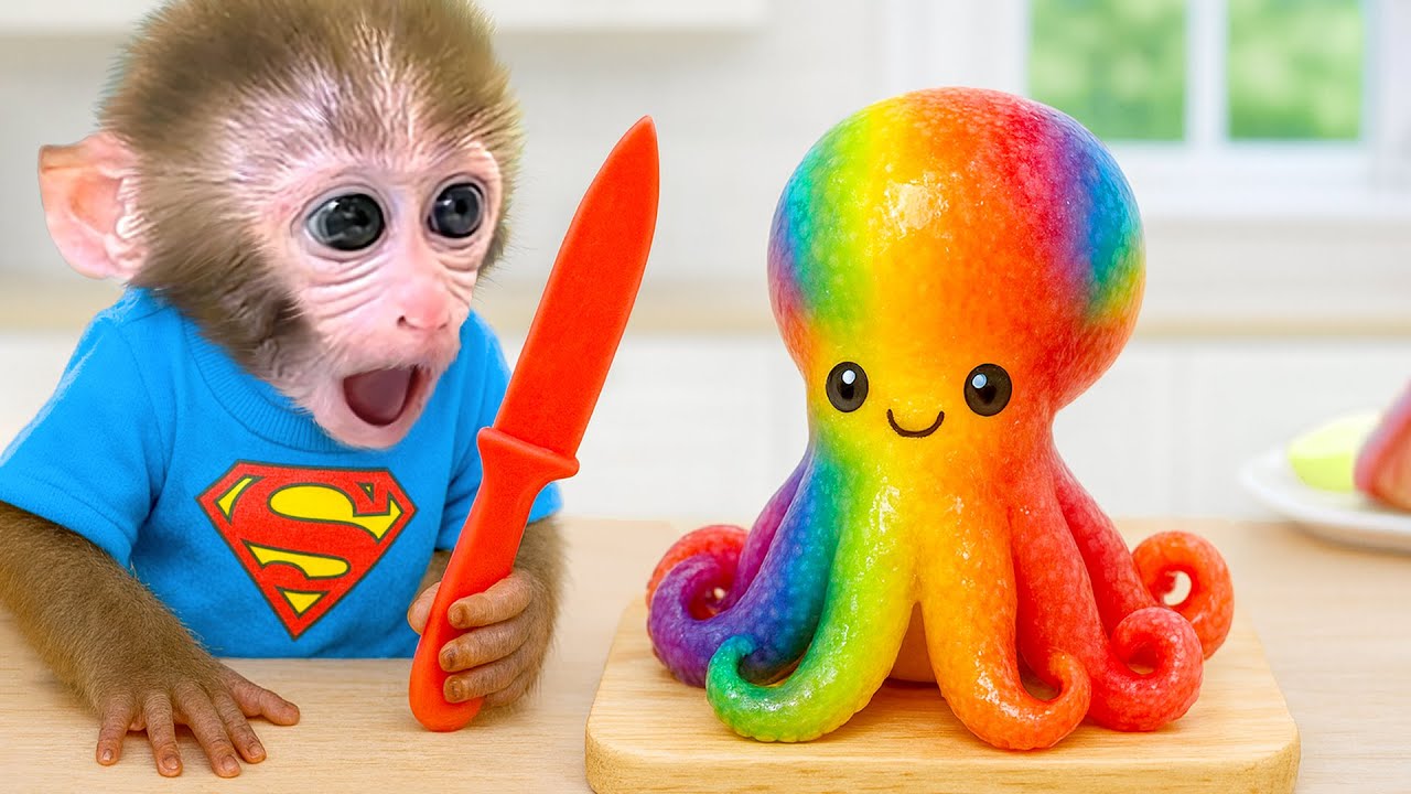 Monyet kecil BonBon memasak sendiri dan menyiapkan buah pencuci mulut dengan hebat