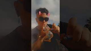 Cones in Australia!?