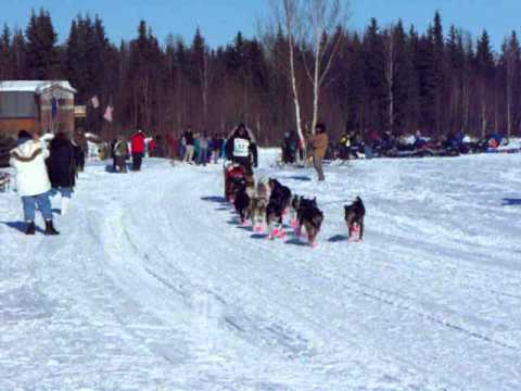 Iditarod 2011 #17 Lance Mackey from Fairbanks, Ala...