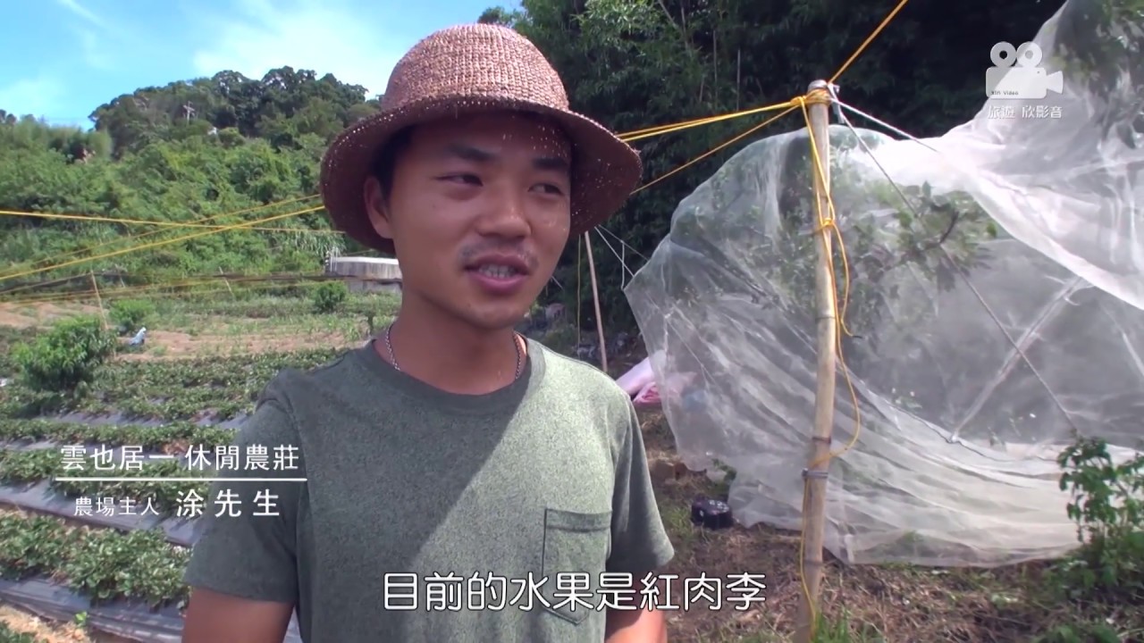 到苗栗雲也居一休閒農場 採果子吃薑麻料理