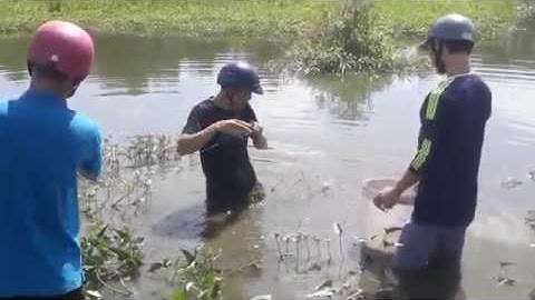 Thả lưới Bắc cá  tập 2