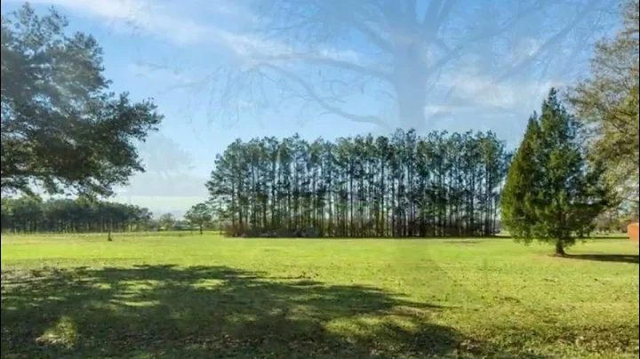Century 21 Delia Realty Group - LOT 2 Michelle Rd