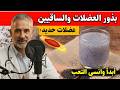 ماذا يحدث لجسمك بعد سن الـ60 عند تناول بذور الشيا أو بذور الكتان يوميًا؟ طبيب يكشف الحقيقة الصادمة!