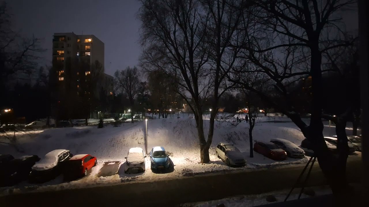 live cam streaming DAY 