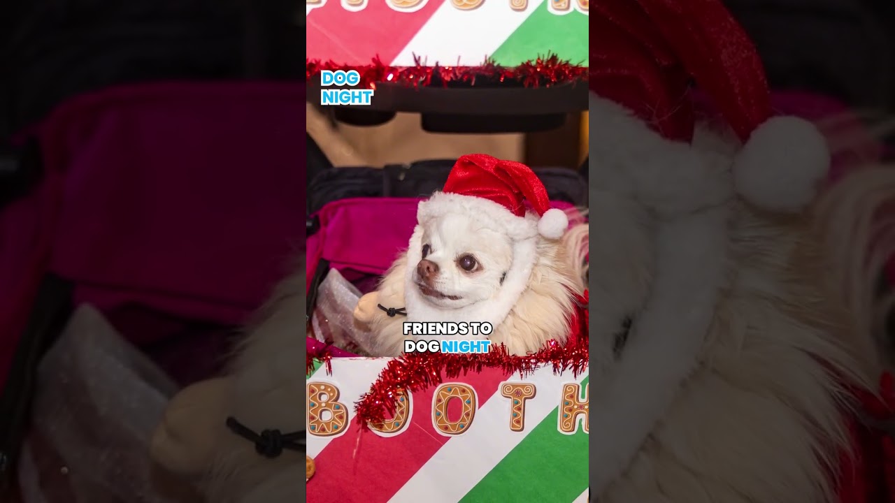 𝗠𝗶𝗿𝗮𝗰𝗹𝗲 𝗮𝘁 𝗕𝗶𝗴 𝗥𝗼𝗰𝗸 𝟮𝟬𝟮𝟱  𝗔 𝗛𝗼𝗹𝗶𝗱𝗮𝘆 𝗧𝗿𝗮𝗱𝗶𝘁𝗶𝗼𝗻 𝗟𝗶𝗸𝗲 𝗡