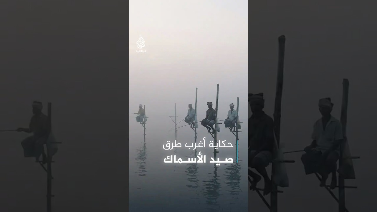 الحاجة أم الاختراع.. حكاية أغرب أسلوب صيد أسماك في العالم